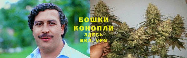 бошки Шадринск