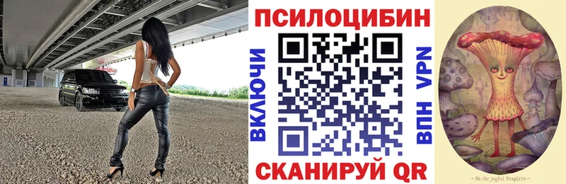 сколько стоит  Киселёвск  Галлюциногенные грибы Psilocybine cubensis 