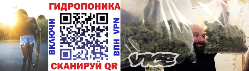 цена наркотик  Киселёвск  hydra ONION  Конопля планчик 
